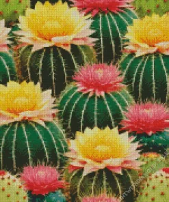 Barrel Cactus With Flowers Diamond Painting