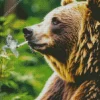 Bear Smoking Diamond Painting