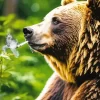 Bear Smoking Diamond Painting