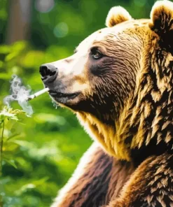 Bear Smoking Diamond Painting