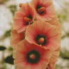 Beautiful Hollyhock Flowers Diamond Painting