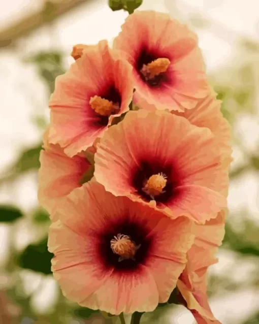 Beautiful Hollyhock Flowers Diamond Painting