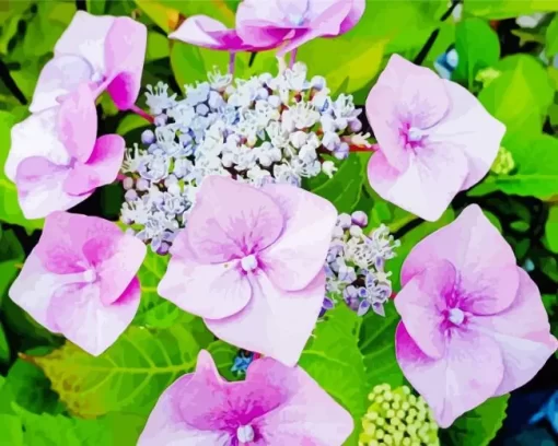 Beautiful Hydrangea Macrophylla Diamond Painting