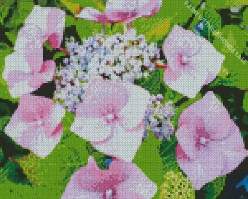 Beautiful Hydrangea Macrophylla Diamond Painting