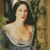 Beautiful Liv Tyler The Lord Of The Rings Diamond Painting