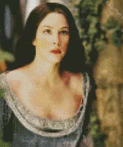 Beautiful Liv Tyler The Lord Of The Rings Diamond Painting