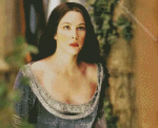 Beautiful Liv Tyler The Lord Of The Rings Diamond Painting