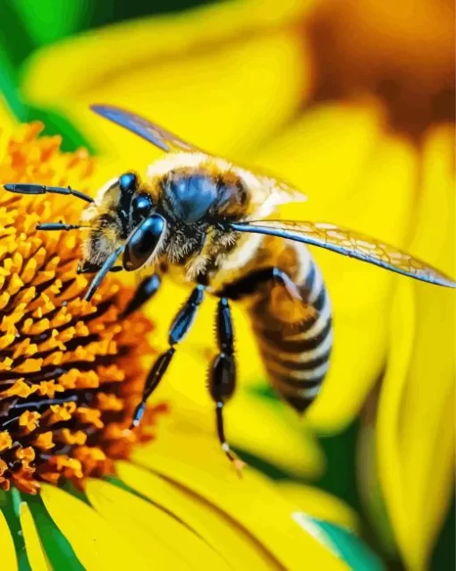 Bee Insect Close Up Diamond Painting