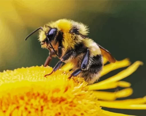 Bee On Flower Diamond Painting