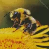 Bee On Flower Diamond Painting