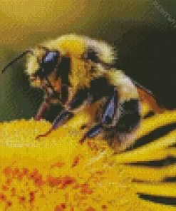 Bee On Flower Diamond Painting