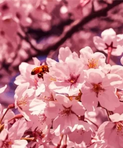 Bees And Cherry Blossoms Diamond Painting