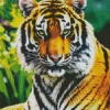 Bengal Tiger Diamond Painting