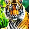 Bengal Tiger Diamond Painting