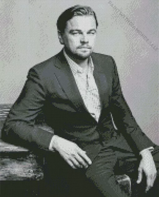 Black And White Leonardo DiCaprio Diamond Painting