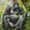 Black Gorilla Diamond Painting