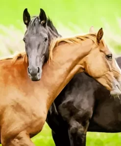 Black And Brown Horse Diamond Painting