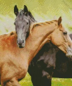 Black And Brown Horse Diamond Painting