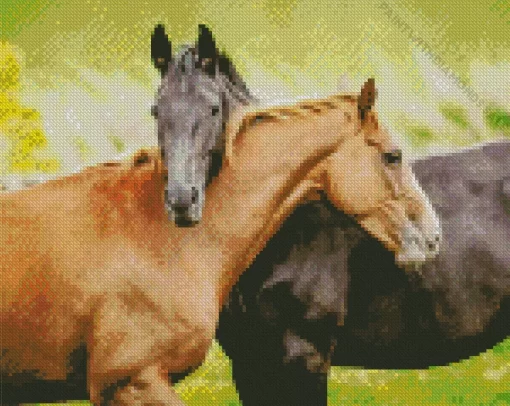 Black And Brown Horse Diamond Painting