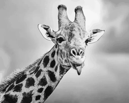 Black And White Giraffe Animal Diamond Painting