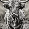 Black And White Highland Cow Diamond Painting