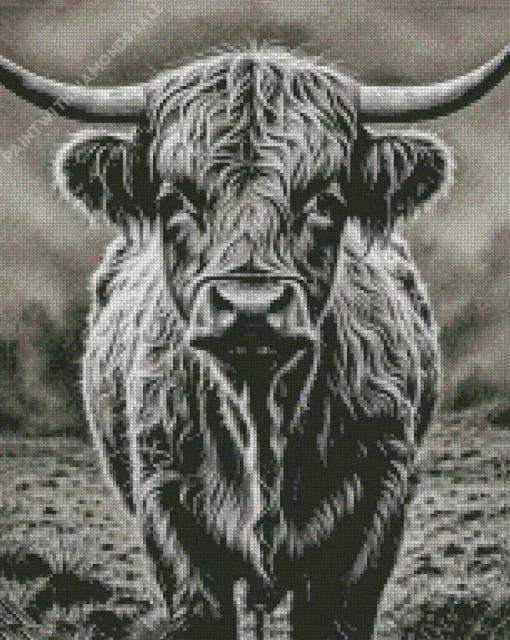 Black And White Highland Cow Diamond Painting