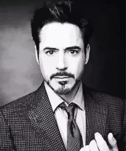 Black And White Robert Downey Jr Diamond Painting