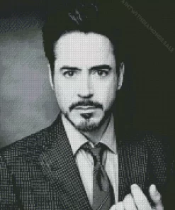 Black And White Robert Downey Jr Diamond Painting