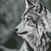 Black And White Wolf Diamond Painting