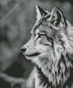 Black And White Wolf Diamond Painting