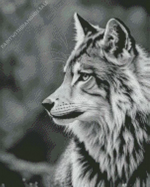 Black And White Wolf Diamond Painting