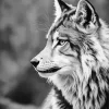 Black And White Wolf Diamond Painting