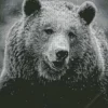 Black And White Bear Diamond Painting