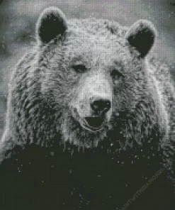 Black And White Bear Diamond Painting