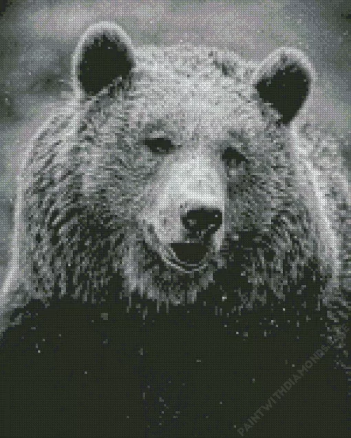 Black And White Bear Diamond Painting