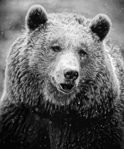 Black And White Bear Diamond Painting