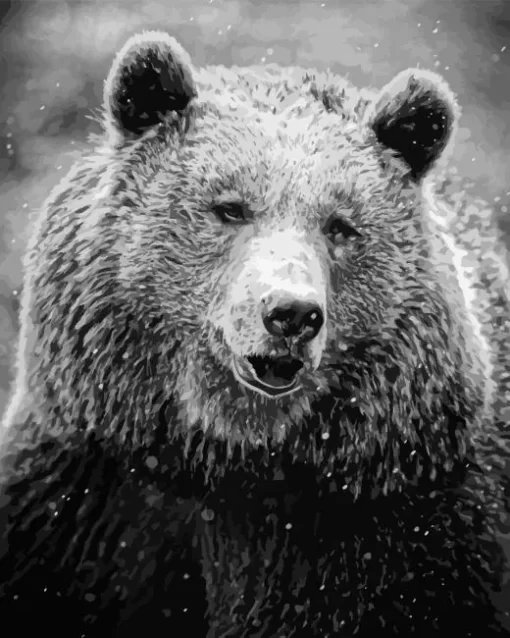 Black And White Bear Diamond Painting