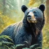 Black Bear Diamond Painting