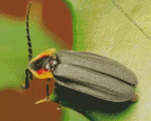 Black Firefly Insect Diamond Painting