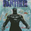 Black Panther Poster Diamond Painting