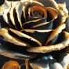 Black Rose With Golden Petals Diamond Painting