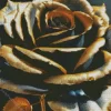 Black Rose With Golden Petals Diamond Painting