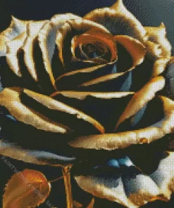 Black Rose With Golden Petals Diamond Painting