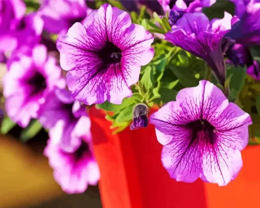 Blooming Petunia Diamond Painting