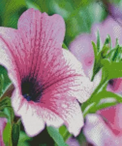 Blooming Petunia Flower Diamond Painting