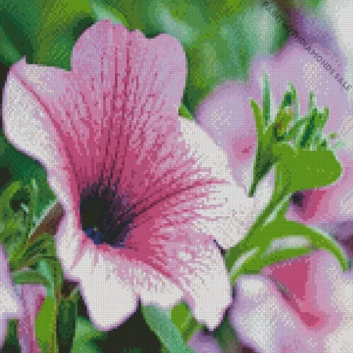 Blooming Petunia Flower Diamond Painting