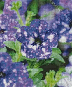 Blooming Blue Petunia Diamond Painting