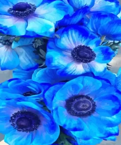 Blue Anemone Diamond Painting