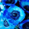 Blue Anemone Flower Diamond Painting