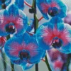 Blue Orchids Diamond Painting